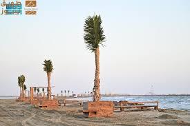 Read more about the article في “شقيق جازان”.. شاطئا النارجيل والألوان يخلقان أجواءً من الجمال