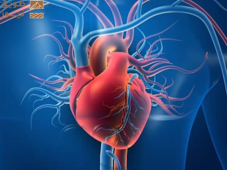 You are currently viewing “النمر”: ممارسة الرياضة أثناء الإصابة بنزلات البرد قد تضعف عضلة القلب