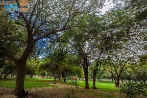 Read more about the article منتزه الملك فهد بنجران.. وجهة طبيعية ساحرة ومتنفس مثالي لعشاق الهدوء