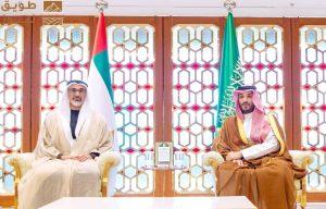 Read more about the article ولي العهد يلتقي ولي عهد أبوظبي ويستعرض معه العلاقات الثنائية