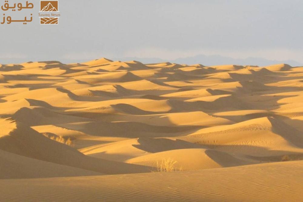 You are currently viewing مصر: وفاة 5 شبان هلكا بالعطش أثناء البحث عن الذهب
