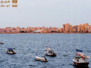 Read more about the article معرض سنوهيتا: “الناس ومكتبة الإسكندرية” يحطّ رحاله في أبوظبي يوم 16 مايو