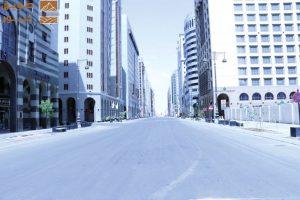 Read more about the article 456 شجرة لتظليل «المركزية»