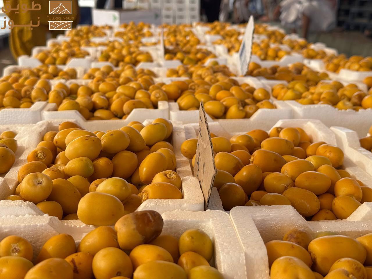 Read more about the article بواكير تمور المدينة المنورة تُنعش أسواق المملكة بأكثر من 58 صنف مع انطلاق موسم الحصاد