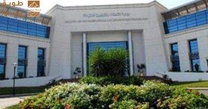 Read more about the article من رمسيس إلى كل المحافظات.. خريطة سنترالات تحمل البنية التحتية للاتصالات بمصر