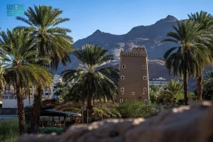 Read more about the article السياحة الريفية بنجران.. تجربة مليئة بالحياة وتعكس الهوية البيئية والتاريخ للمكان