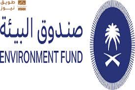 Read more about the article “أصدقاء البيئة”.. مشروع نوعي يتجاوز المستهدفات ويعزز الوعي البيئي المجتمعي في المدارس