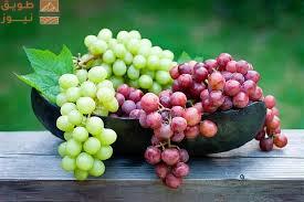 Read more about the article “الإرشاد الزراعي”: تخزين العنب حتى 8 درجات يطيل عمره ويرفع العوائد للمزارعين