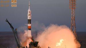 Read more about the article 75 فأراً و1,500 ذبابة فاكهة