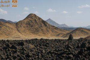 Read more about the article تقنيات الذكاء الاصطناعي ترصد الزلازل بالمملكة