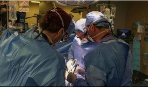 Read more about the article سابقة علمية موثوقة.. نجاح أول زراعة رئة خنزير في جسد إنسان