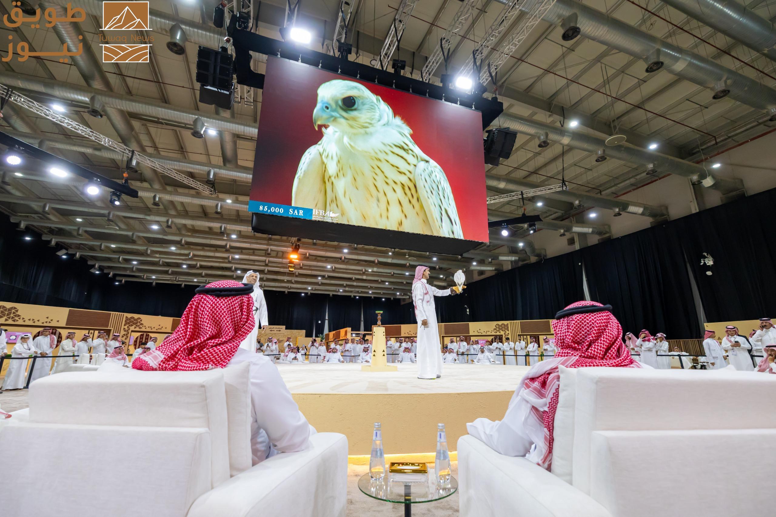 You are currently viewing بيع أغلى صقر حتى الآن في المزاد الدولي لمزارع إنتاج الصقور 2025 بـ151 ألف ريال
