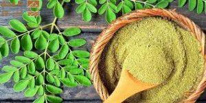 Read more about the article النمر يحذر: المورينجا ليست علاجًا للضغط أو السكري أو الكولسترول