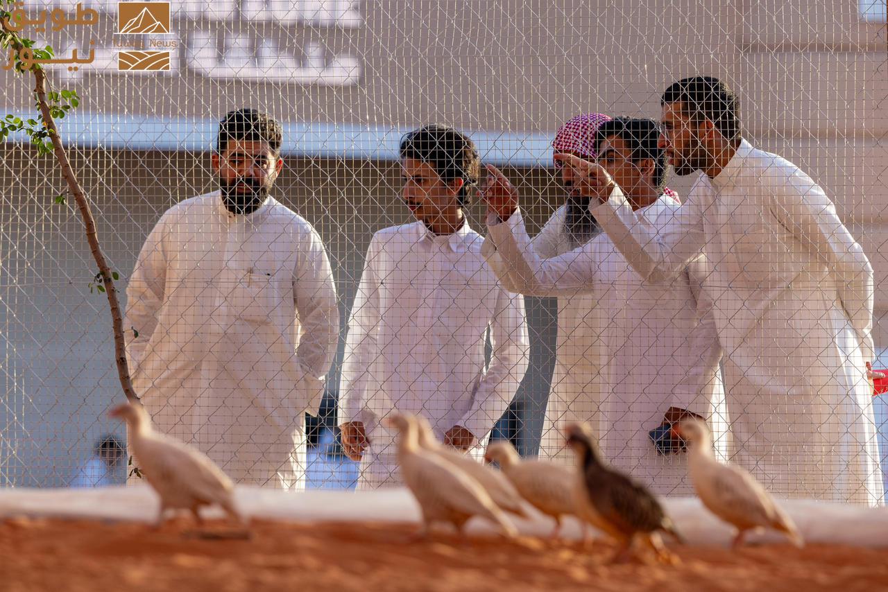 You are currently viewing معرض الصقور والصيد السعودي الدولي 2025 يقدّم “السفاري”