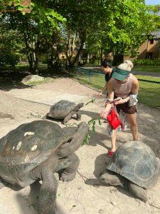 Read more about the article منتجعات “كونستانس” “ايفيليا” و “ليموريا” في سيشل حيث تلتقي الفخامة بالاستدامة في قلب الطبيعة