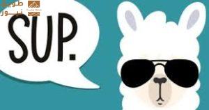 Read more about the article Meta Llama.. كل ما تحتاج معرفته حول نموذج الذكاء الاصطناعى التوليدى المفتوح