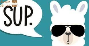 Read more about the article Meta Llama.. كل ما تحتاج معرفته حول نموذج الذكاء الاصطناعى التوليدى المفتوح