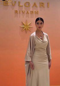 Read more about the article آمنة داي… عارضة الأزياء التي تمهد طريقها نحو عالم التمثيل بثقة وأناقة