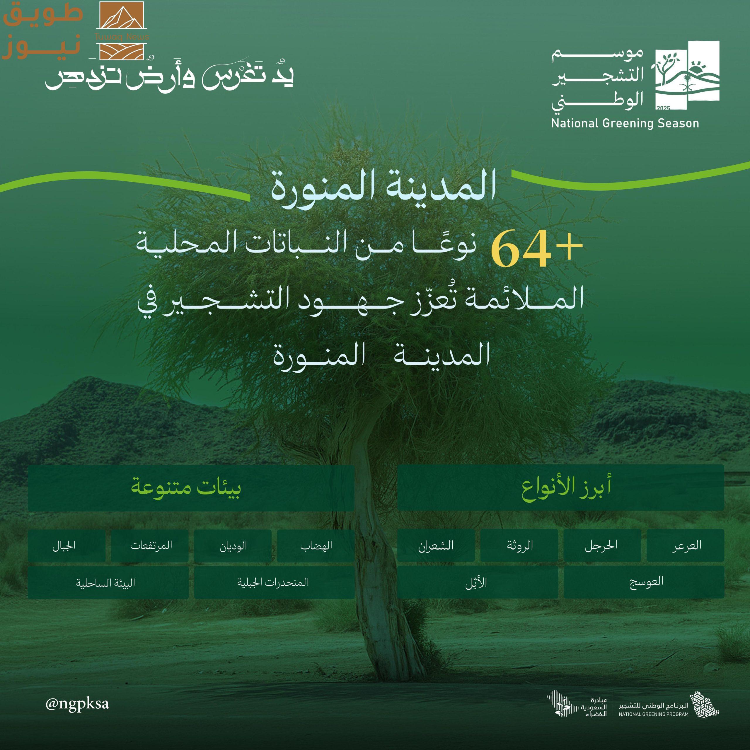 You are currently viewing 60 نوعًا من النباتات المحلية تزدهر في بيئات المدينة المنورة