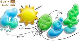 You are currently viewing جوجل تحتفل بعملية التمثيل الضوئى بدودل على صفحتها الرئيسية فى مصر وإسبانيا