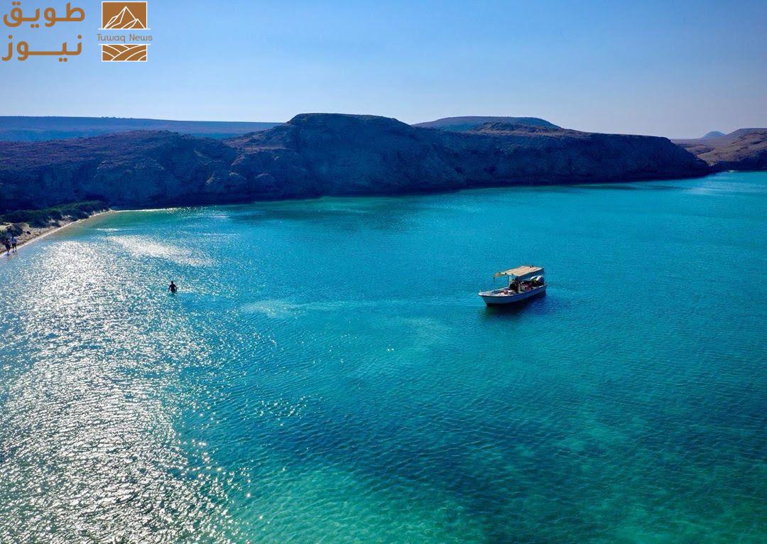 You are currently viewing استراتيجية وطنية لصون بيئة جزيرة جبل الليث وتعزيز مستقبلها السياحي المستدام