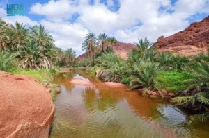 Read more about the article 1.3 مليار إنفاق سياحي في حائل