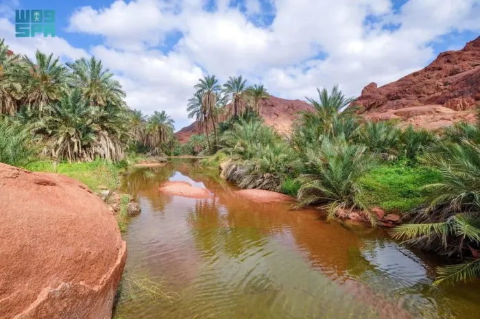 Read more about the article 1.3 مليار إنفاق سياحي في حائل