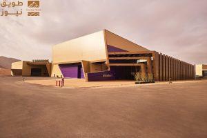 Read more about the article فيلم العلا تستعد لتصوير الفيلم الرومانسي “تشيسنغ ريد” من بطولة مادلين بيتش وغافين كاساليغنو في العلا