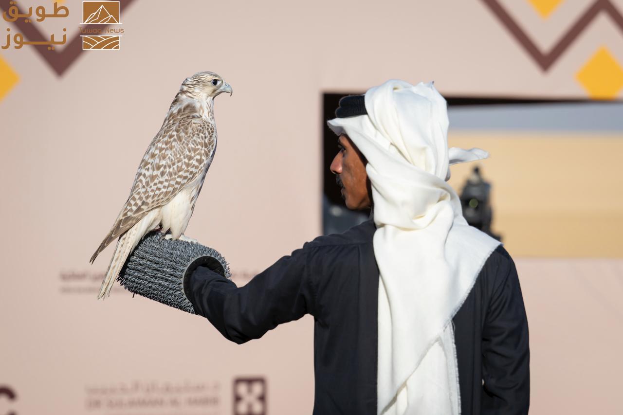 Read more about the article تتويج 8 هواة محليين بـ 12 كأسًا بمهرجان الملك عبدالعزيز للصقور 2025