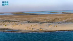 Read more about the article عَثَر.. ميناء تاريخي وملتقى للحضارات على ساحل جازان جنوب غربي السعودية