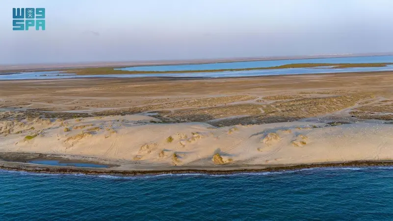 Read more about the article عَثَر.. ميناء تاريخي وملتقى للحضارات على ساحل جازان جنوب غربي السعودية