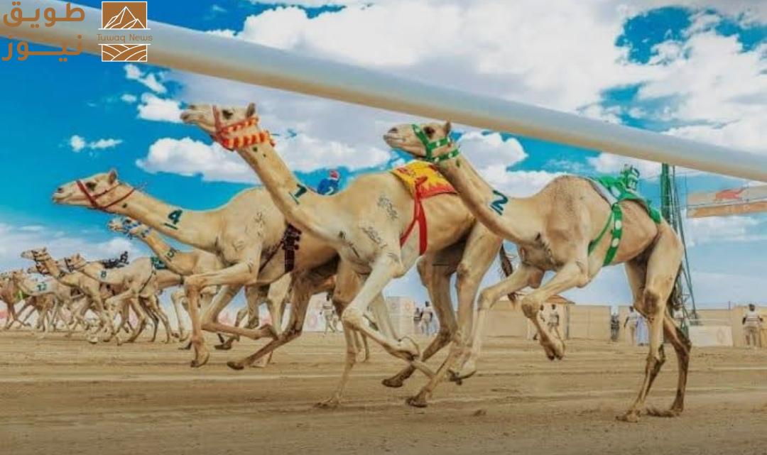 You are currently viewing انطلاق مهرجان خادم الحرمين للهجن في نسخته الثالثة بالرياض 23 يناير