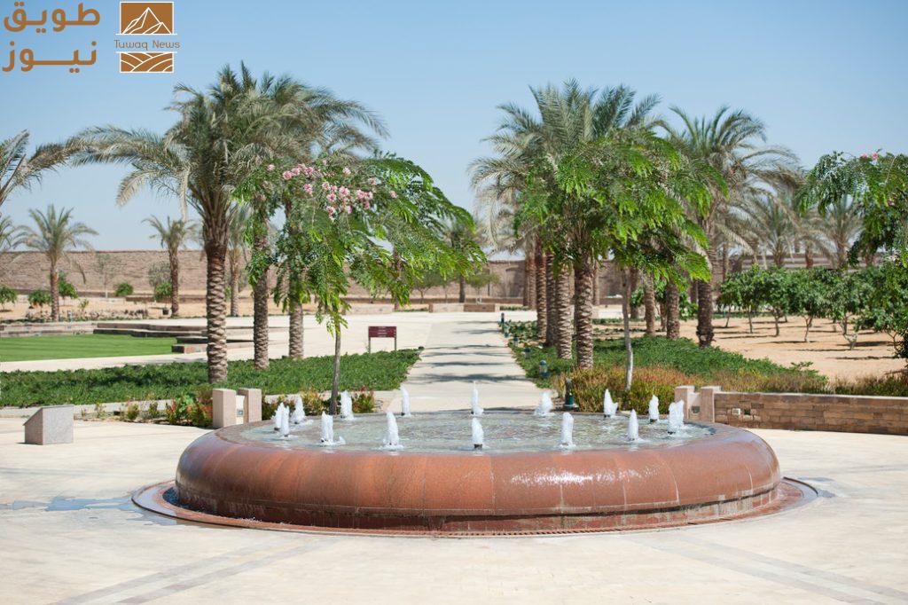 للمرة السابعة: الجامعة الأمريكية بالقاهرة ضمن أفضل الجامعات الخضراء عالميًا لعام 2026