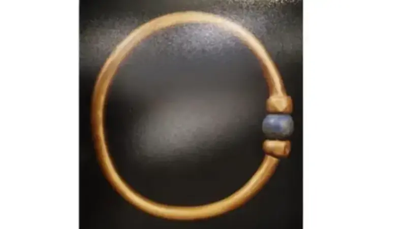 Read more about the article المشدد 15 سنة للمتهمين في سرقة السوار الأثري من المتحف المصري