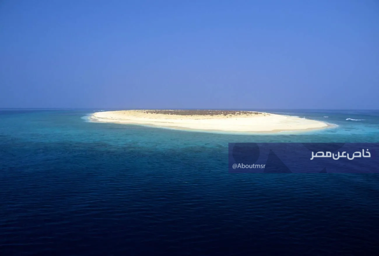 You are currently viewing مشروعات بـ546 مليون ريال.. السعودية تطلق خطة عملاقة لتحويل جزر فرسان إلى وجهة سياحية عالمية