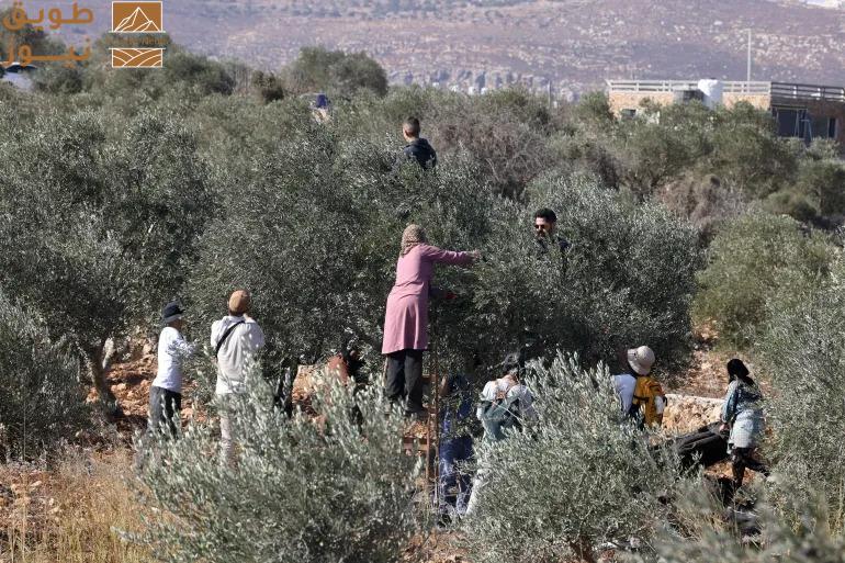 You are currently viewing كيف يستفيد الفلسطينيون من الوضع الضبابي القائم